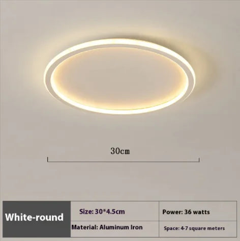 Sleek Modern Ceiling Lamp