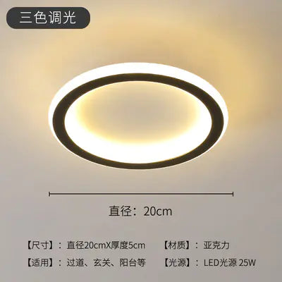 Sleek LED Hallway Ceiling Light