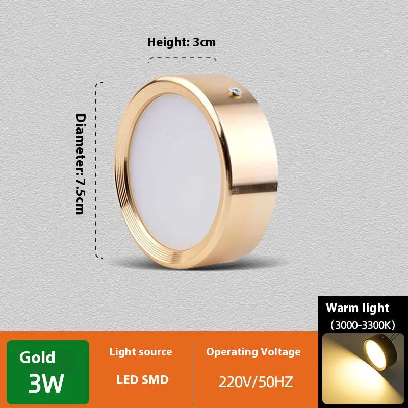 Smooth Glow Ceiling Light