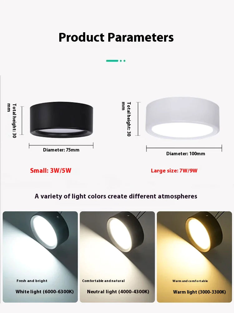 Smooth Glow Ceiling Light