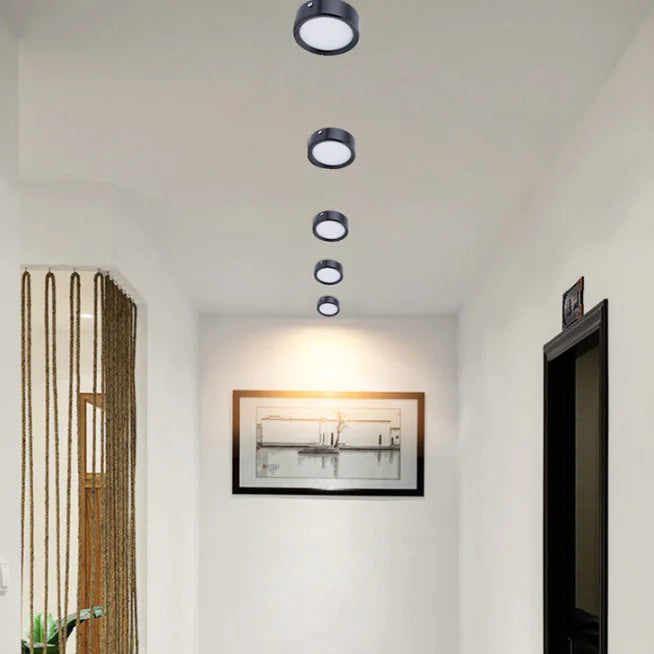 Smooth Glow Ceiling Light