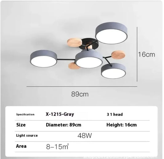 Modern Minimalist LED Ceiling Lamp