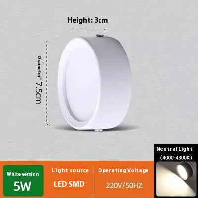 Smooth Glow Ceiling Light