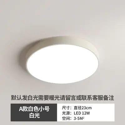 Sleek LED Hallway Ceiling Light