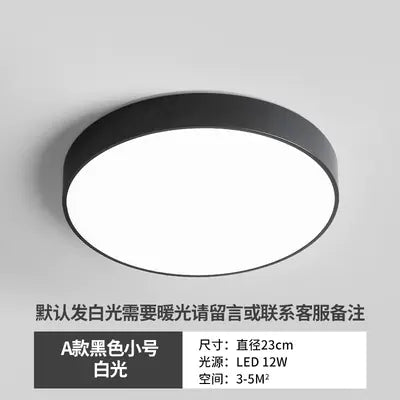 Sleek LED Hallway Ceiling Light