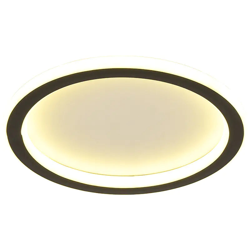 Sleek LED Hallway Ceiling Light