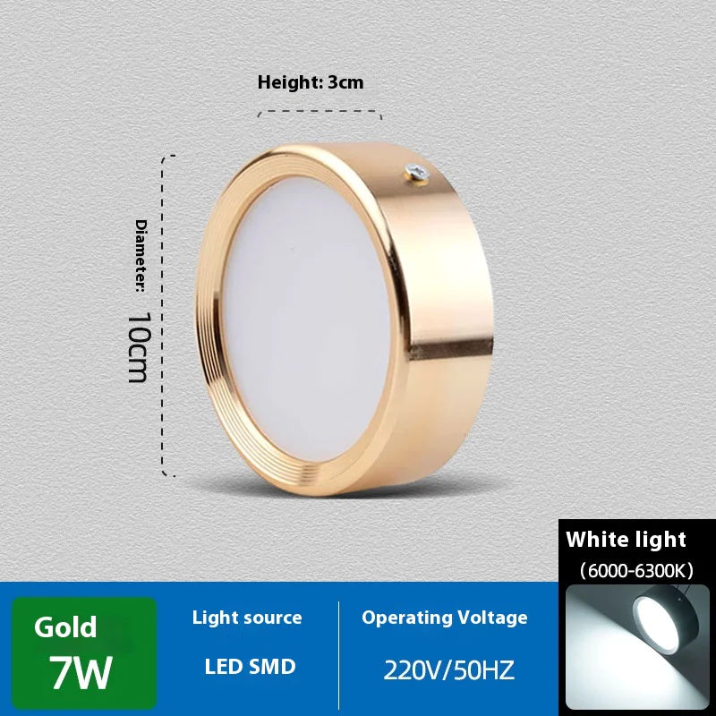 Smooth Glow Ceiling Light