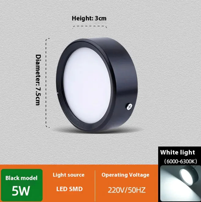 Smooth Glow Ceiling Light