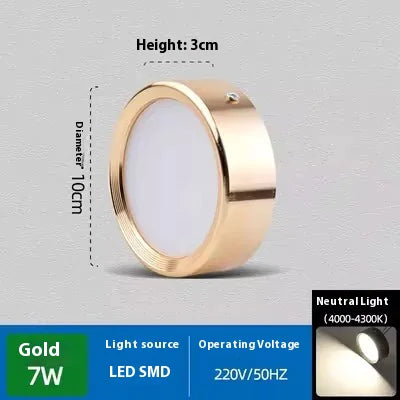 Smooth Glow Ceiling Light