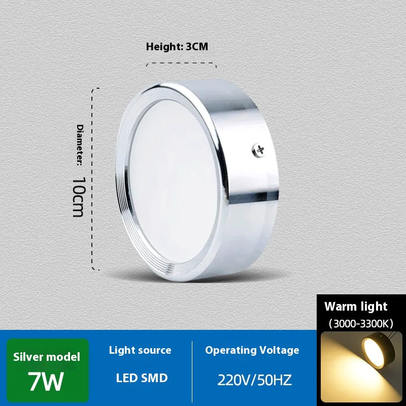 Smooth Glow Ceiling Light