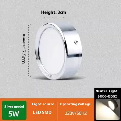 Smooth Glow Ceiling Light
