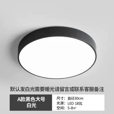 Sleek LED Hallway Ceiling Light