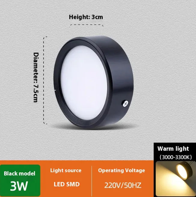 Smooth Glow Ceiling Light