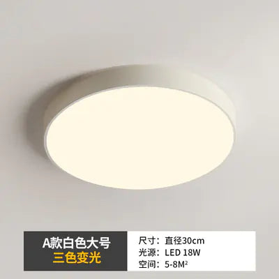 Sleek LED Hallway Ceiling Light