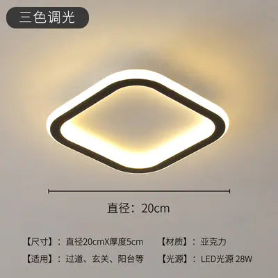 Sleek LED Hallway Ceiling Light