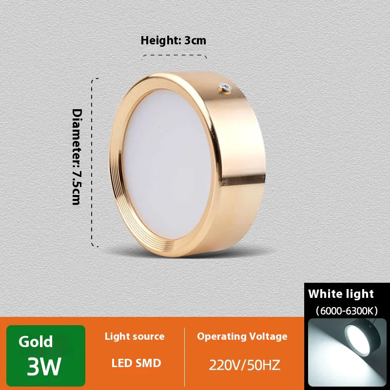 Smooth Glow Ceiling Light