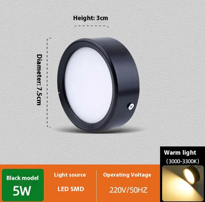 Smooth Glow Ceiling Light