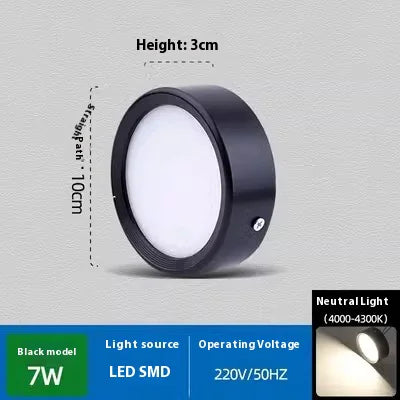 Smooth Glow Ceiling Light